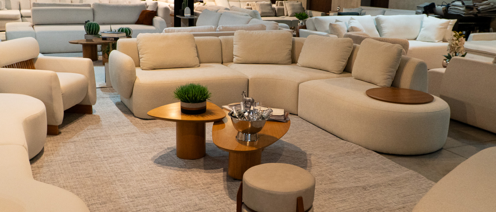 Showroom Requintare